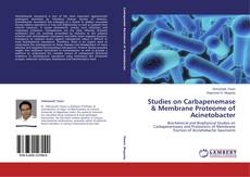 Capa do livro de Studies on Carbapenemase & Membrane Proteome of Acinetobacter 