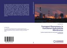 Bookcover of Transport Phenomena in Functional Hydrotalcite Membranes