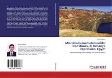 Borítókép a  Microbially-mediated ooidal Ironstones, El Bahariya Depression, Egypt - hoz