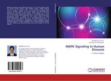 MAPK Signaling in Human Diseases kitap kapağı