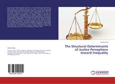 Couverture de The Structural Determinants of Justice Perceptions toward Inequality