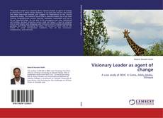 Visionary Leader as agent of change kitap kapağı