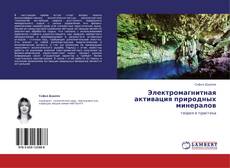 Электромагнитная активация природных минералов kitap kapağı