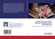 Buchcover von Governance Structure Choices in Supply Chain Management