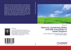 Bookcover of Heterosis, Combining Ability and GXE interactions in Sweet Sorghum