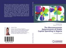 The Macroeconomic Determinants of Public Capital Spending in Nigeria kitap kapağı