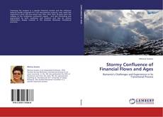 Buchcover von Stormy Confluence of Financial Flows and Ages