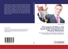 The Impact of Micro and Small Scale Enterprises on Poverty Reduction kitap kapağı