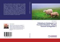 Buchcover von Palladium-Catalyzed C–H Functionalization, Studies Toward Ginkgolide C