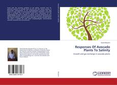 Buchcover von Responses Of Avocado Plants To Salinity