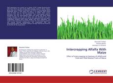 Обложка Intercropping Alfalfa With Maize