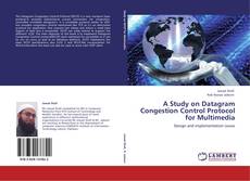Capa do livro de A Study on Datagram Congestion Control Protocol for Multimedia 