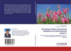 Copertina di Genetical effect of ionizing radiation on Antirrhinum majus L