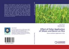 Обложка Effect of Foliar Application of Silicon and Boron on Rice