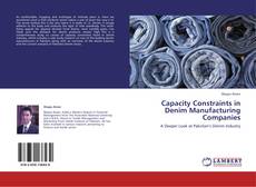 Bookcover of Capacity Constraints in Denim Manufacturing Companies