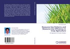 Buchcover von Resource Use Patterns and Resource Use Efficiency in Crop Agriculture