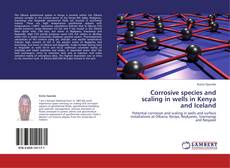 Portada del libro de Corrosive species and scaling in wells in Kenya and Iceland