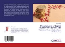 Determinants of Capital Structure Choice for SMEs kitap kapağı