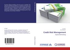 Credit Risk Management kitap kapağı