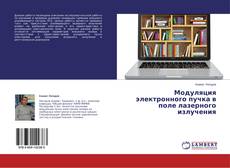Buchcover von Модуляция электронного пучка в поле лазерного излучения