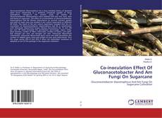 Co-inoculation Effect Of Gluconacetobacter And Am Fungi On Sugarcane的封面
