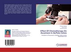 Bookcover of Effect Of Chemotherapy On Ascairiasis In Buffalo Calves