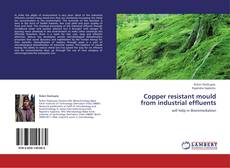 Copertina di Copper resistant mould from industrial effluents