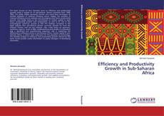 Обложка Efficiency and Productivity Growth in Sub-Saharan Africa