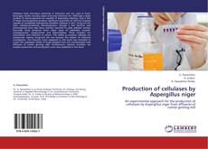 Copertina di Production of cellulases by Aspergillus niger