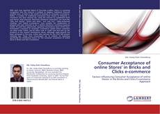 Обложка Consumer Acceptance of online Stores' in Bricks and Clicks e-commerce