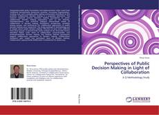 Copertina di Perspectives of Public Decision Making in Light of Collaboration