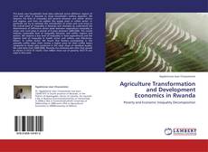 Buchcover von Agriculture Transformation and Development Economics in Rwanda