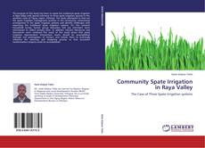 Buchcover von Community Spate Irrigation in Raya Valley