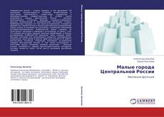 Bookcover of Малые города Центральной России