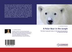 A Polar Bear in the Jungle的封面