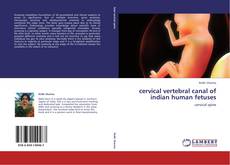Borítókép a  cervical vertebral canal of indian human fetuses - hoz