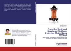 Control of Designed Developed Six Phase Induction Motor Using MATLAB kitap kapağı