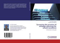 Buchcover von Surveying the practice of strategic planning for school excellence