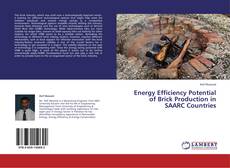 Borítókép a  Energy Efficiency Potential of Brick Production in SAARC Countries - hoz