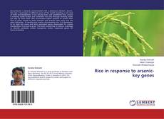 Couverture de Rice in response to arsenic-key genes
