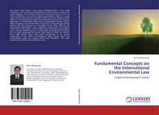 Capa do livro de Fundamental Concepts on the International Environmental Law 