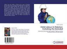 Portada del libro de Child Labour in Pakistan: Including the Excluded