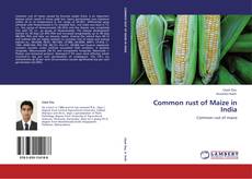 Common rust of Maize in India kitap kapağı