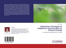 Buchcover von Adaptation Strategies of Indigenous Communities to Climate Change