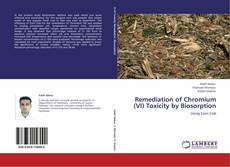 Buchcover von Remediation of Chromium (VI) Toxicity by Biosorption