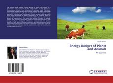 Copertina di Energy Budget of Plants and Animals