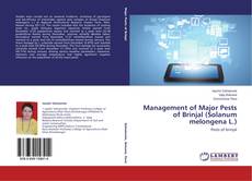 Copertina di Management of Major Pests of Brinjal (Solanum melongena L.)