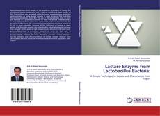 Buchcover von Lactase Enzyme from Lactobacillus Bacteria: