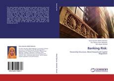 Banking Risk:的封面