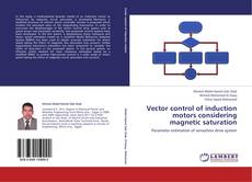 Capa do livro de Vector control of induction motors considering  magnetic saturation 